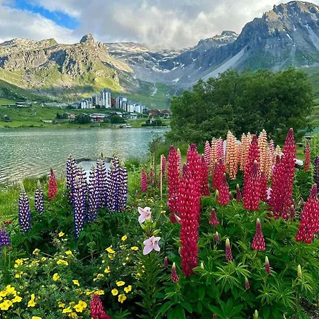 Appartement Tignes, 2 Pièces, 5 Personnes - Fr-1-449-23 *